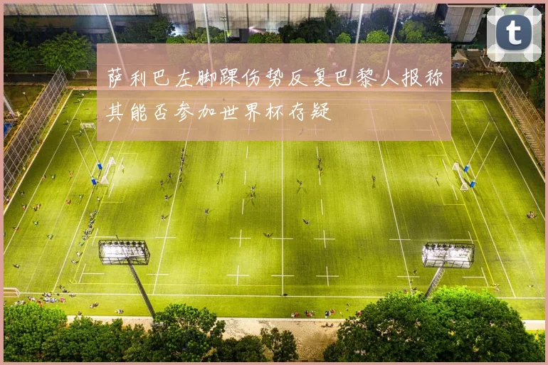 萨利巴左脚踝伤势反复巴黎人报称其能否参加世界杯存疑