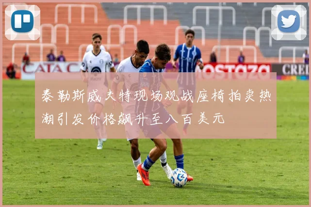 泰勒斯威夫特现场观战座椅拍卖热潮引发价格飙升至八百美元