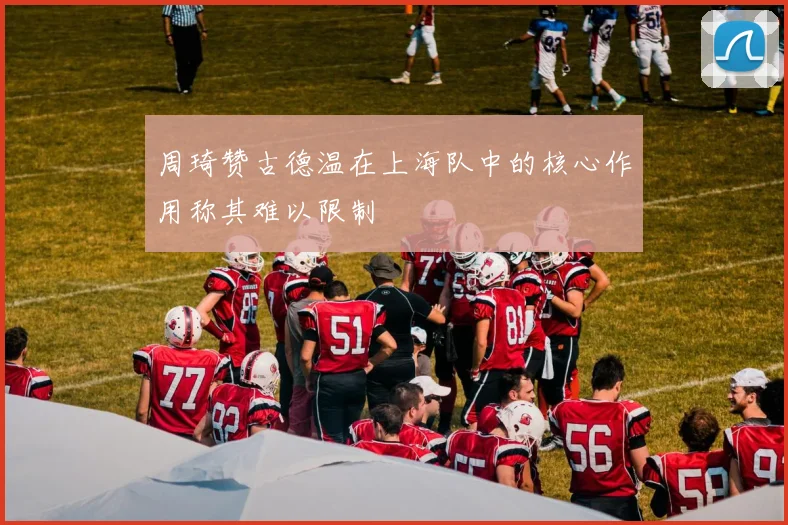周琦赞古德温在上海队中的核心作用称其难以限制